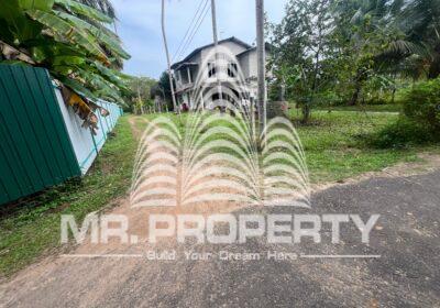 WhatsApp-Image-2025-01-18-at-10.51.39