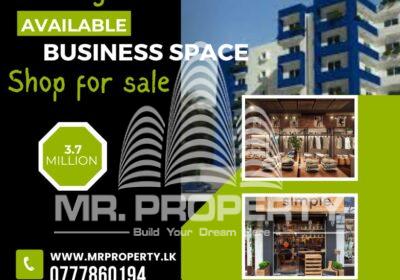 WhatsApp-Image-2025-01-21-at-10.33.46