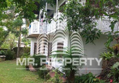 WhatsApp-Image-2025-01-23-at-11.32.20