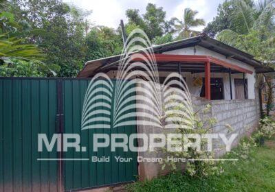 WhatsApp-Image-2025-01-23-at-12.38.10-2