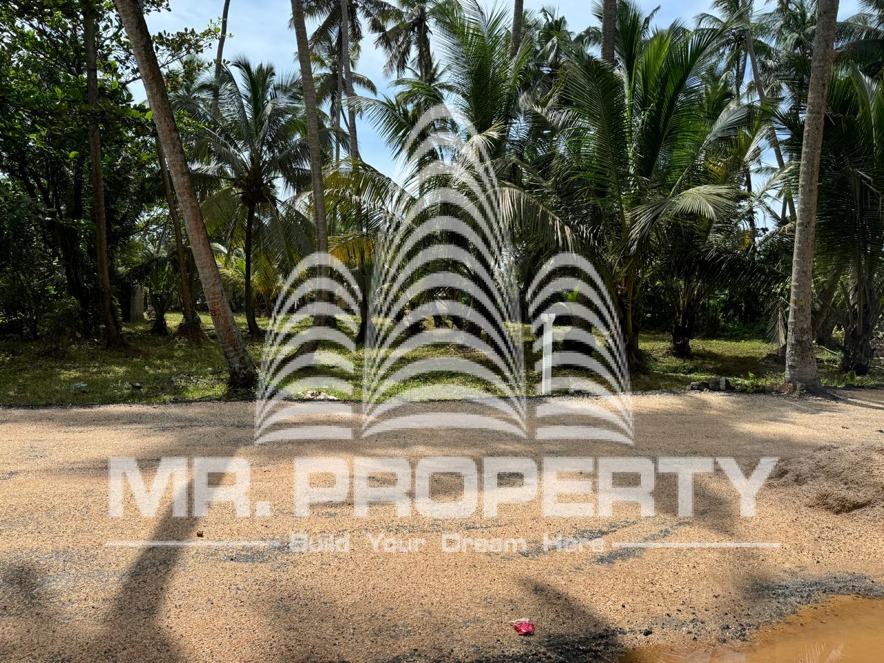 Land for sale handala wattala