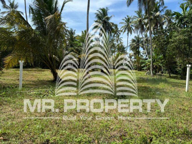 Land for sale handala wattala
