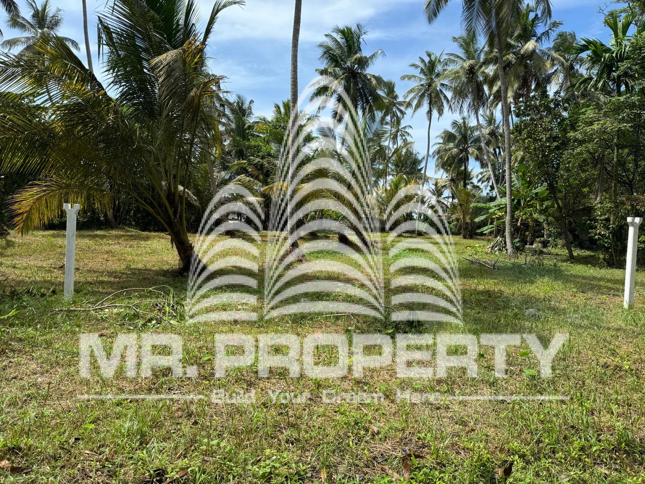 Land for sale handala wattala