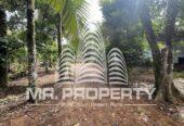 LAND FOR SALE Homagama GODAGAMA