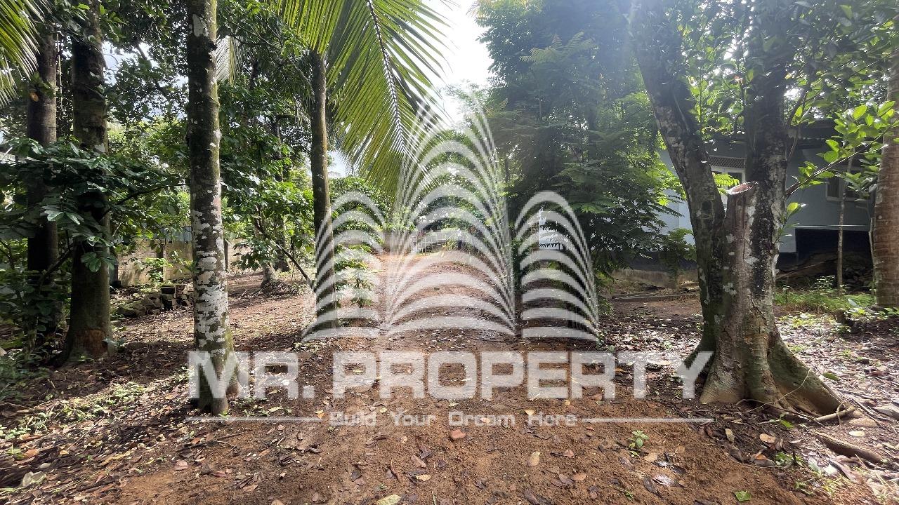 LAND FOR SALE Homagama GODAGAMA
