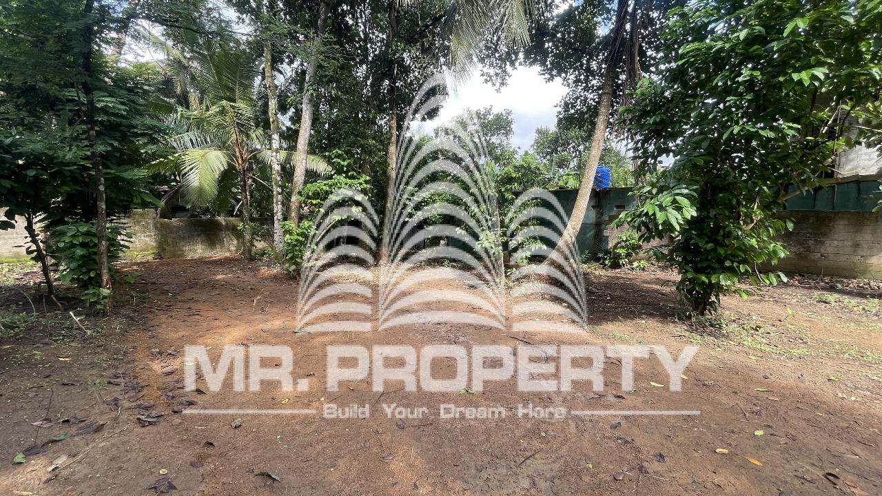 LAND FOR SALE Homagama GODAGAMA