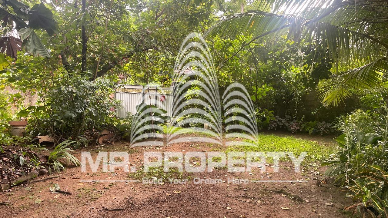 LAND FOR SALE Homagama GODAGAMA