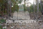 Land for sale pannala makandura