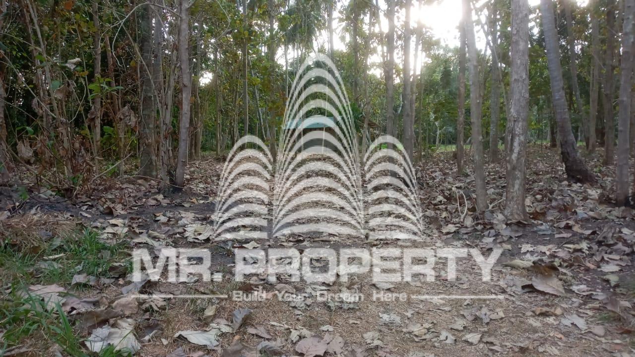 Land for sale pannala makandura