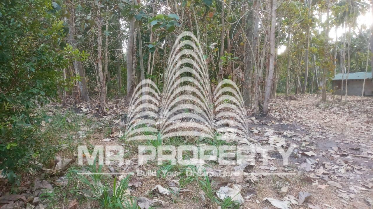 Land for sale pannala makandura