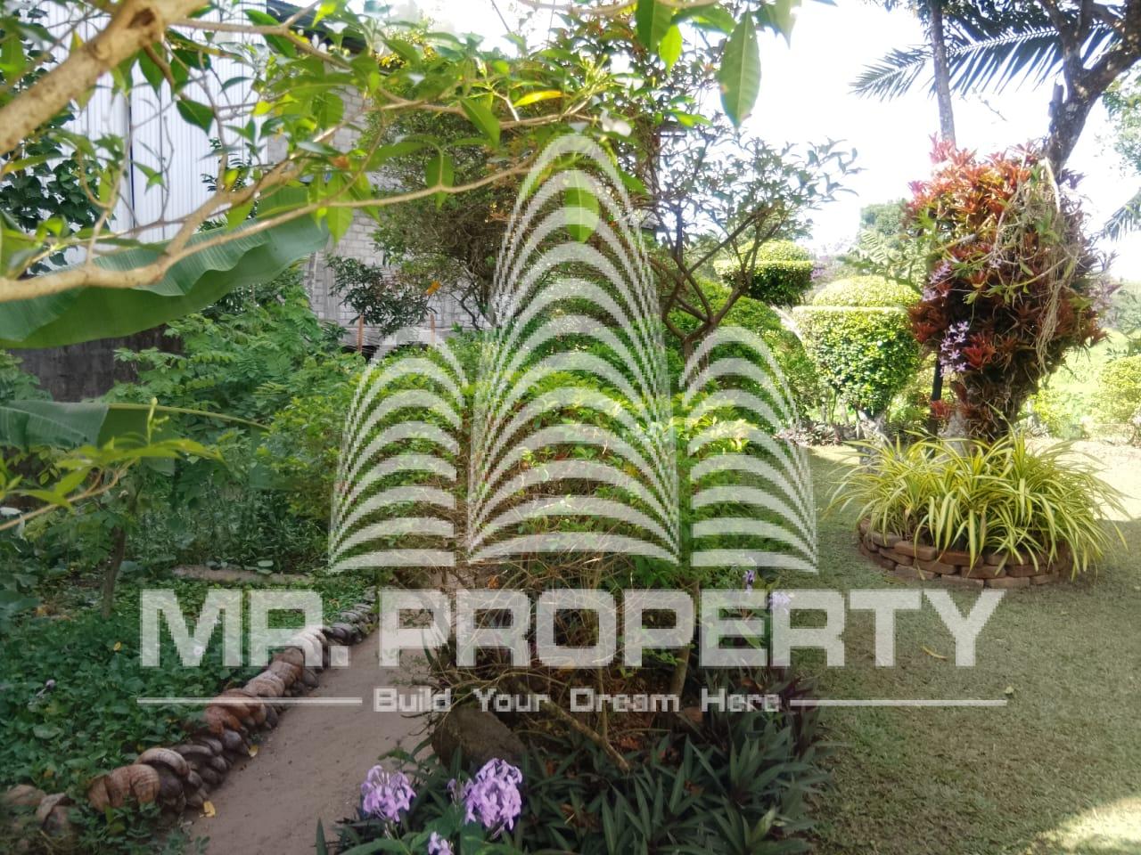 GAMPAHA MIRISWATTA LAND FOR SALE