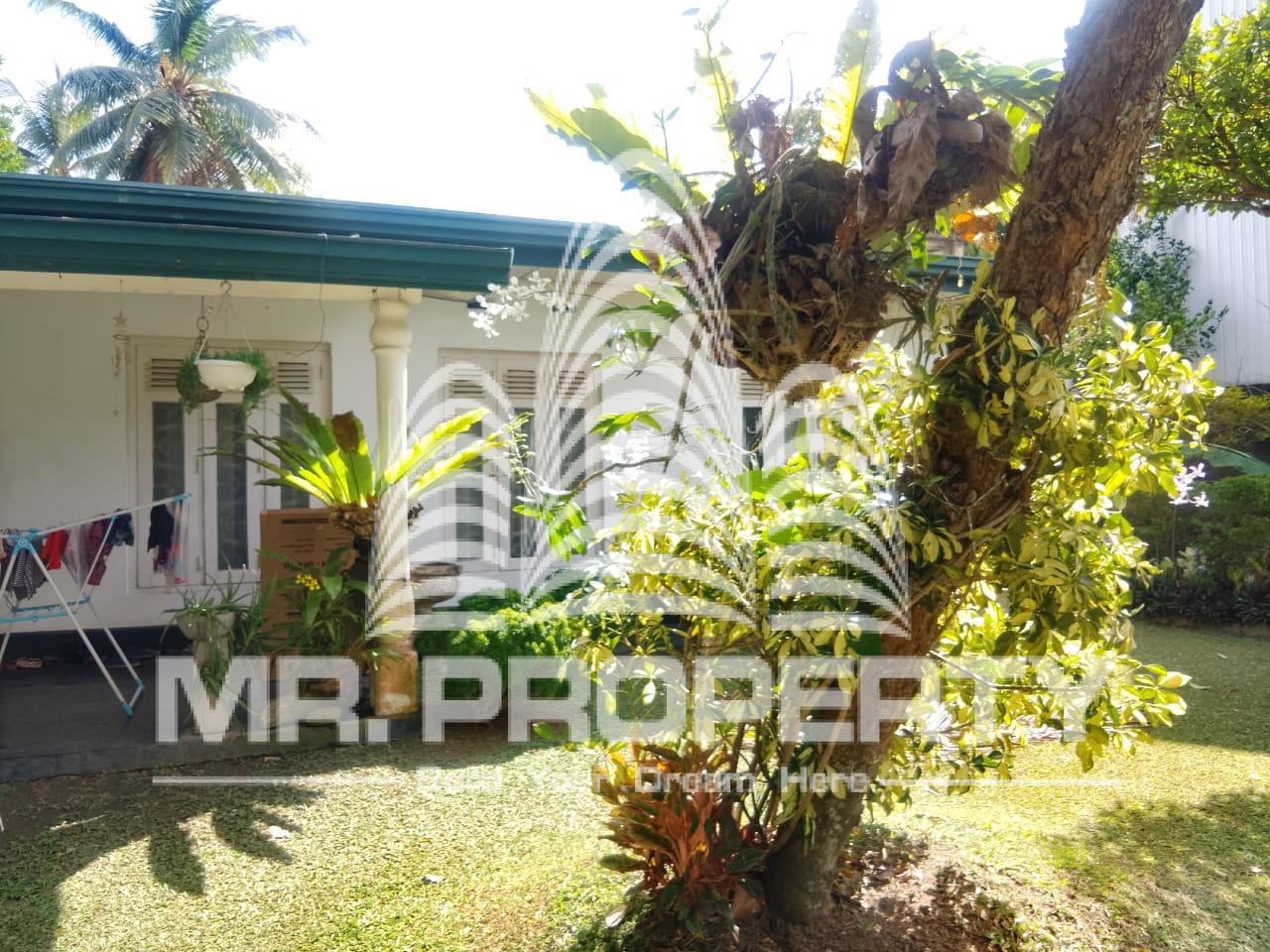 GAMPAHA MIRISWATTA LAND FOR SALE
