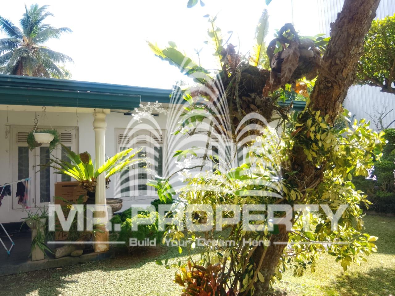 GAMPAHA MIRISWATTA LAND FOR SALE