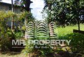 GAMPAHA MIRISWATTA LAND FOR SALE