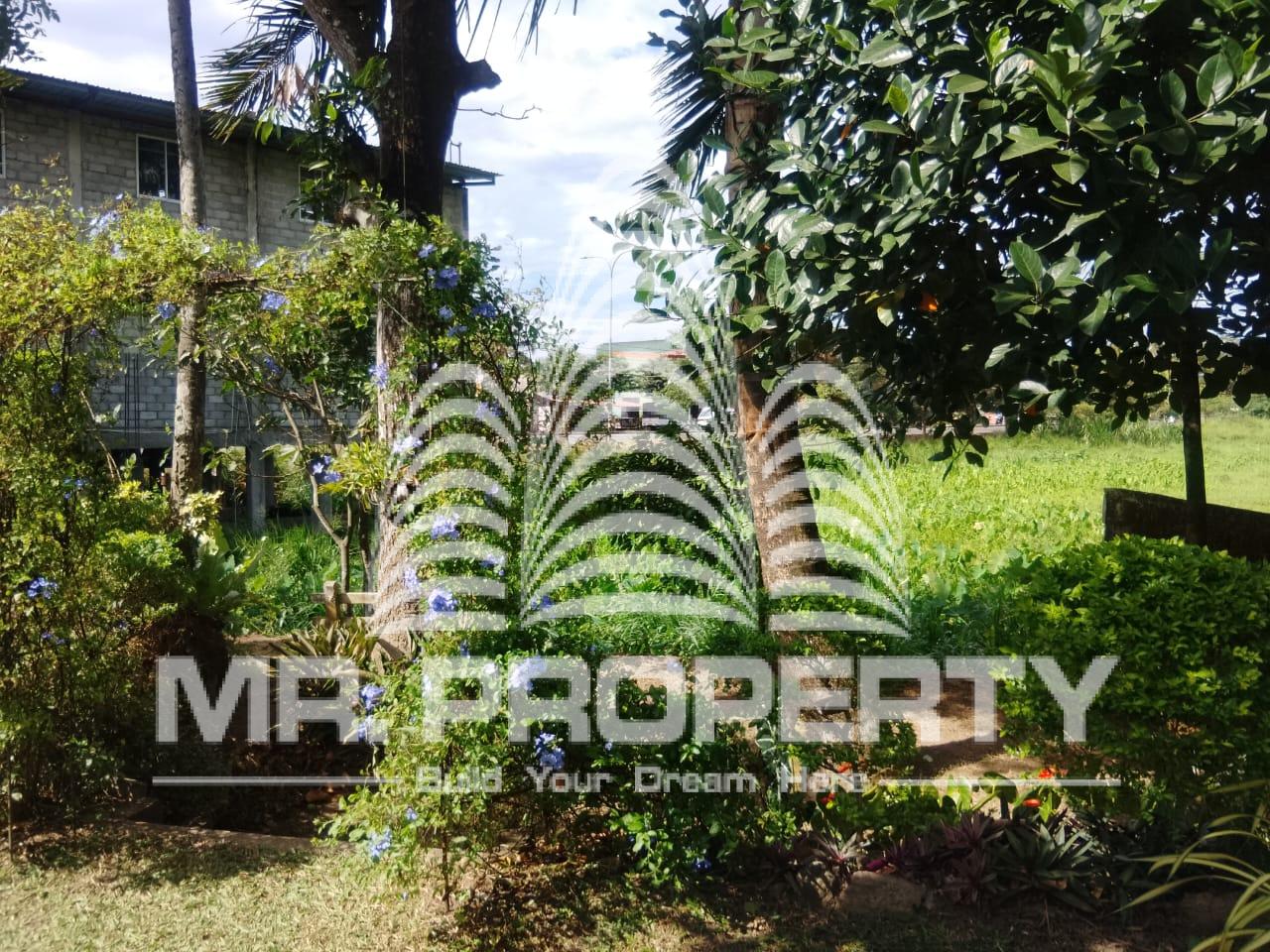 GAMPAHA MIRISWATTA LAND FOR SALE