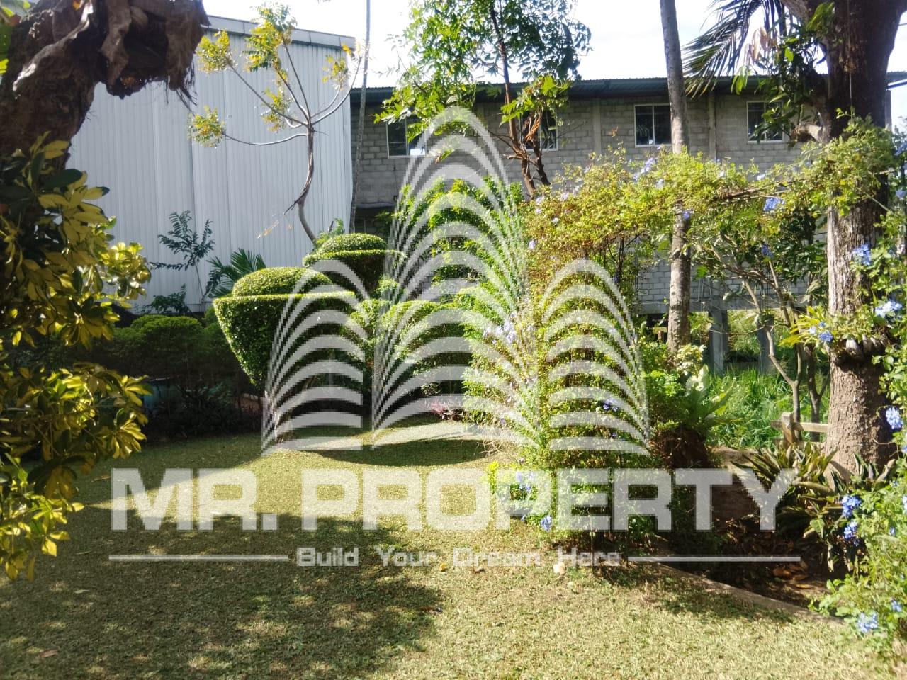 GAMPAHA MIRISWATTA LAND FOR SALE