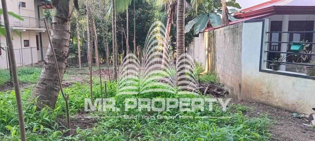 land for sale kandy digana