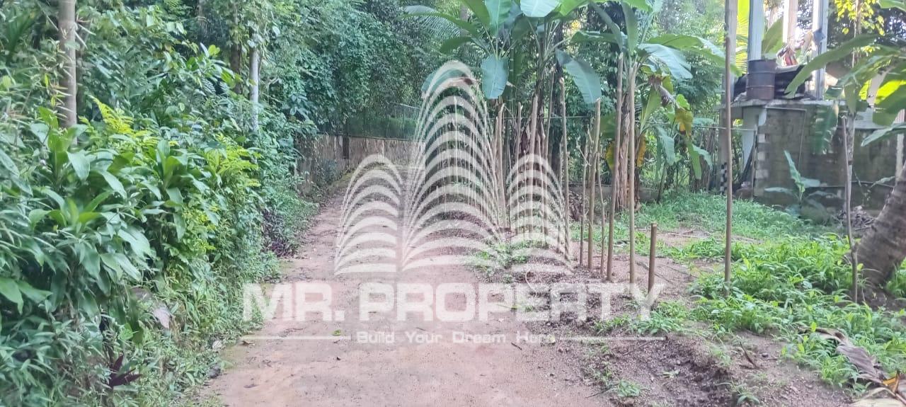 land for sale kandy digana