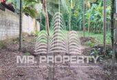 land for sale kandy digana