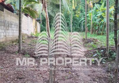 WhatsApp-Image-2025-02-02-at-19.16.26