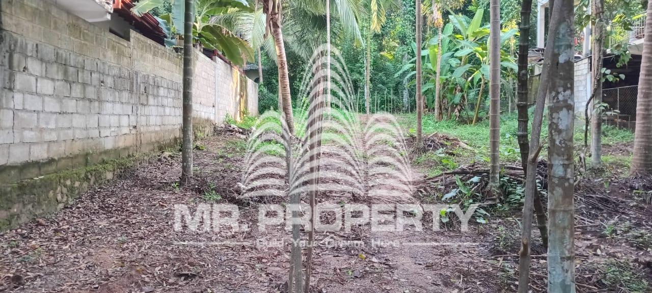 land for sale kandy digana