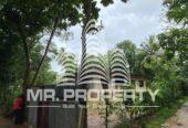 land for sale dambulla thalakiriyagama