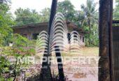 land for sale dambulla thalakiriyagama