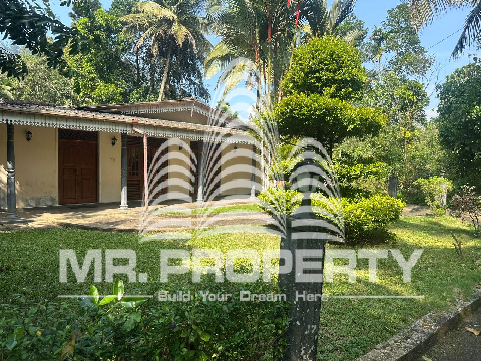 house for sale nawalapitiya town limit