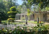 house for sale nawalapitiya town limit