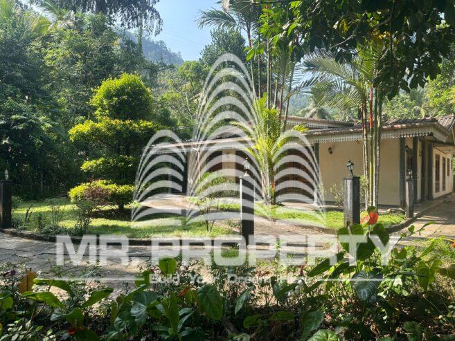house for sale nawalapitiya town limit