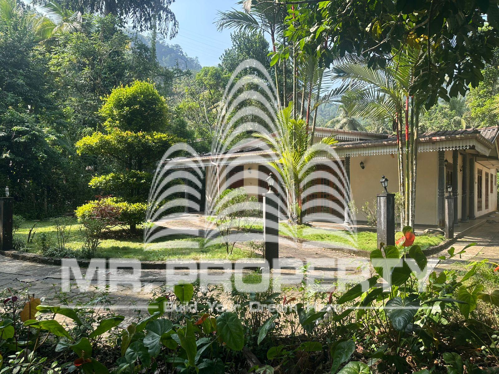 house for sale nawalapitiya town limit