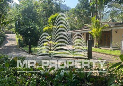 WhatsApp-Image-2025-02-10-at-10.07.11-1