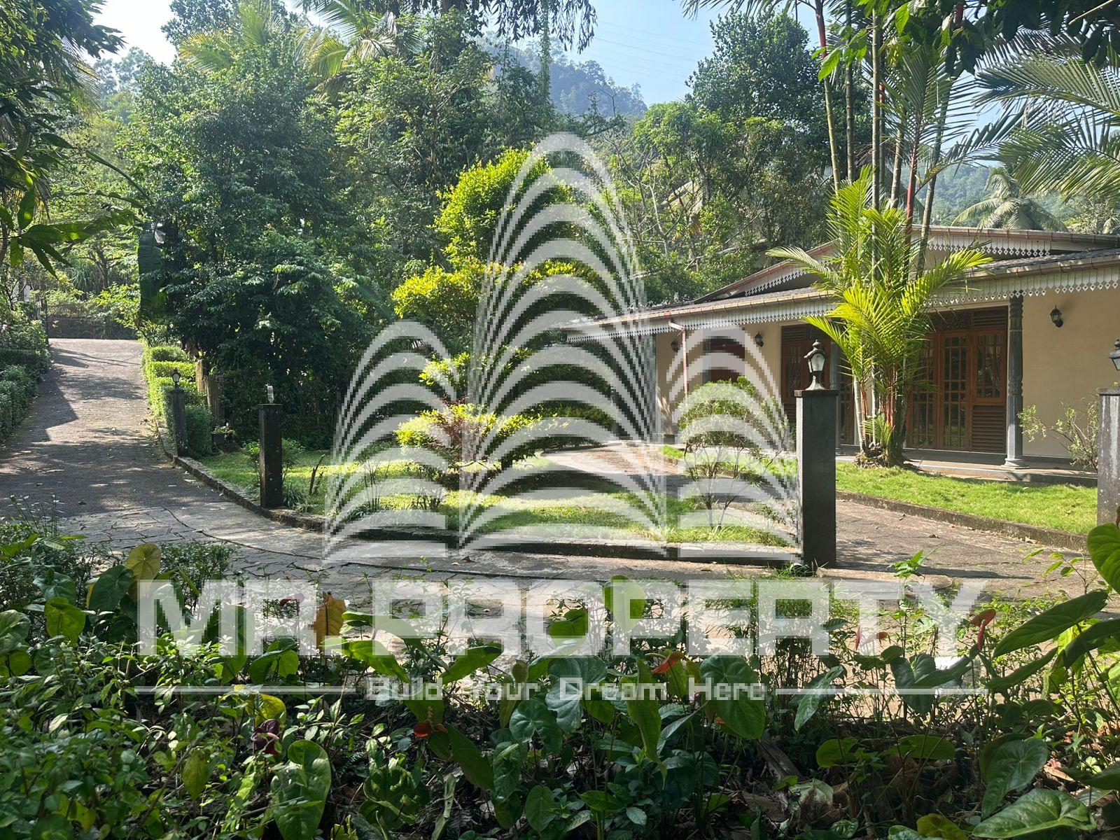 house for sale nawalapitiya town limit