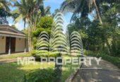 house for sale nawalapitiya town limit