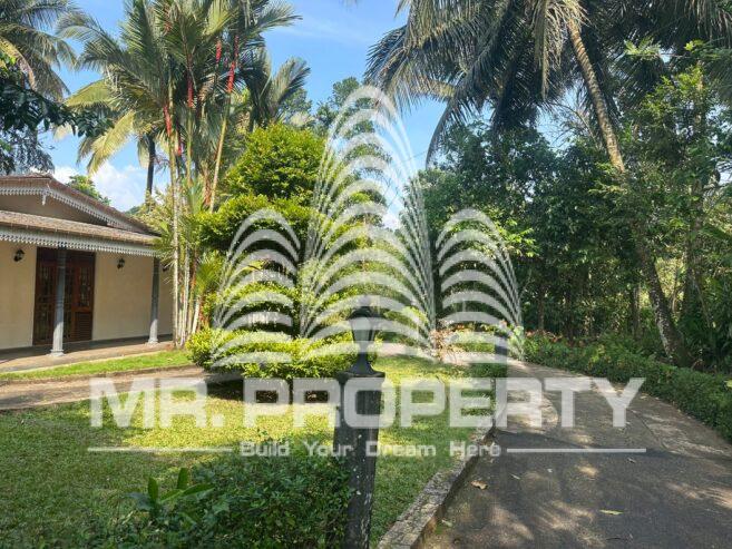 house for sale nawalapitiya town limit