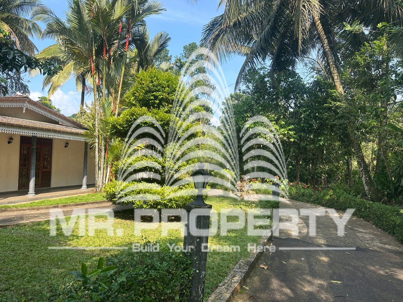 house for sale nawalapitiya town limit