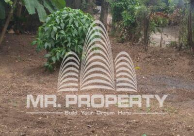 WhatsApp-Image-2025-02-12-at-10.10.37