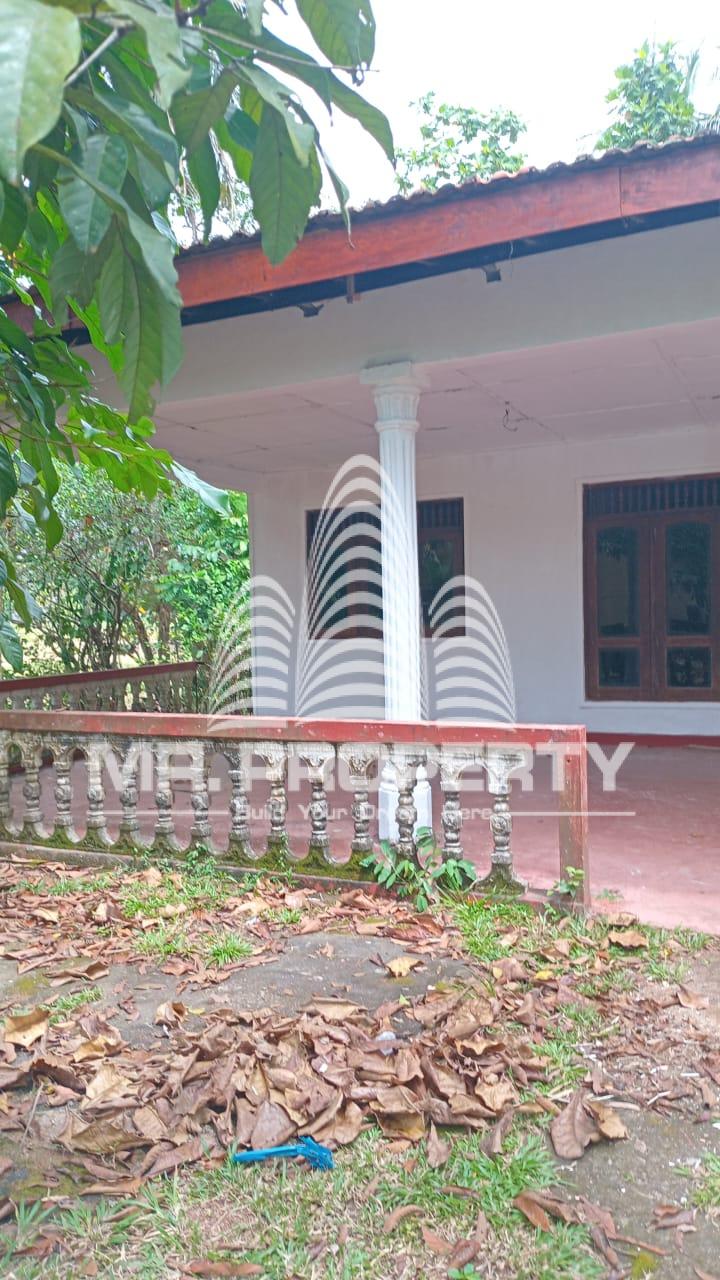 House for sale nittambuwa