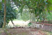 House for sale nittambuwa