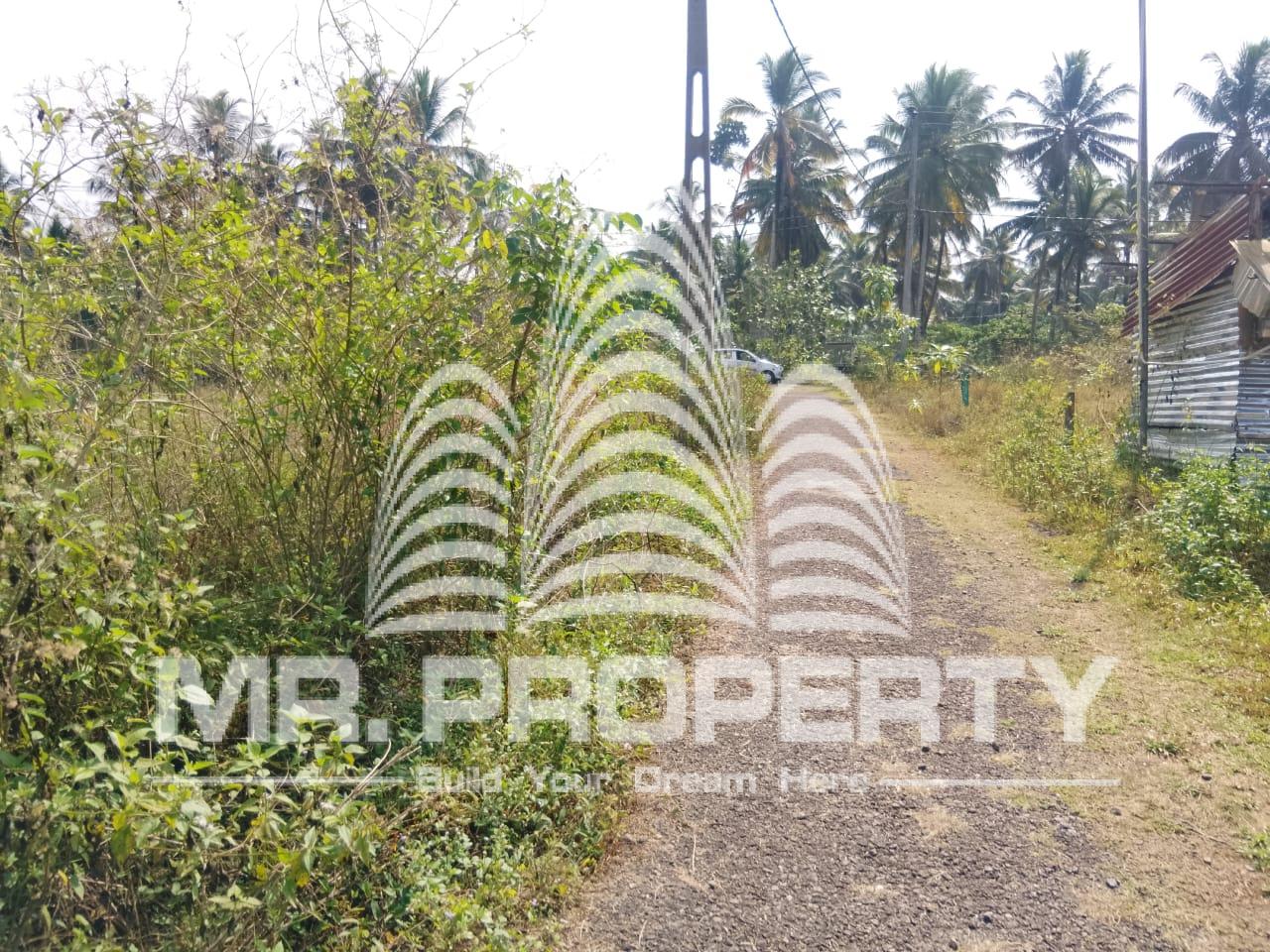 PADUKKA LAND FOR SALE
