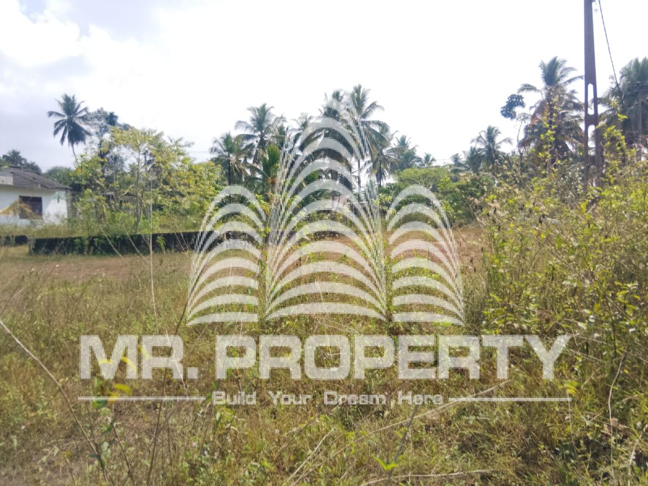 PADUKKA LAND FOR SALE