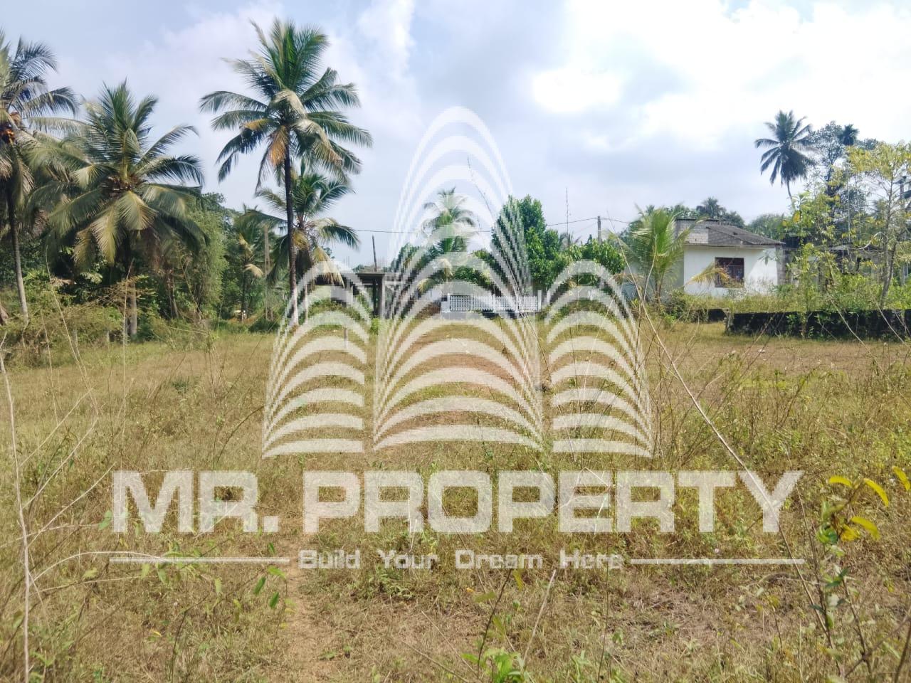 PADUKKA LAND FOR SALE