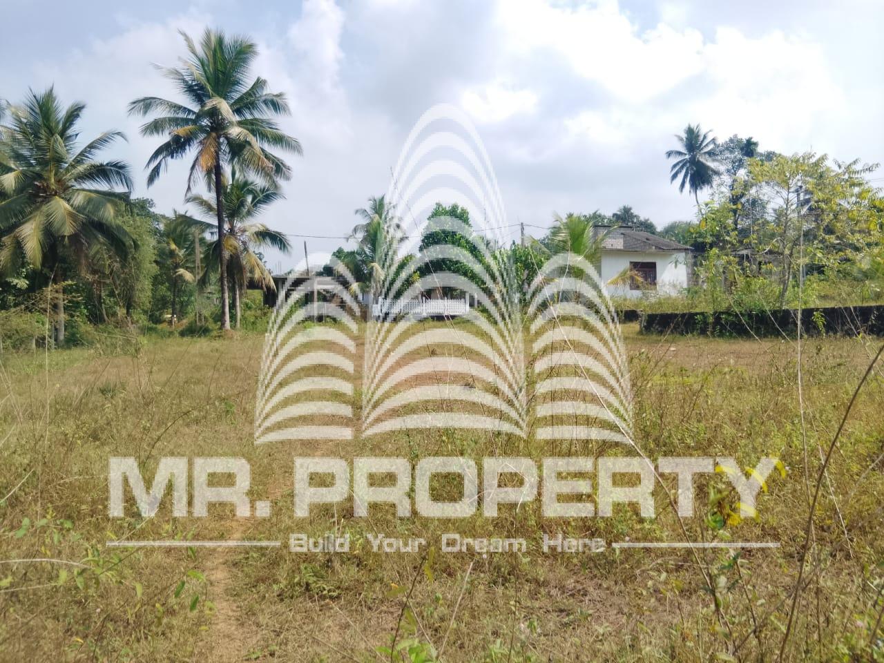 PADUKKA LAND FOR SALE