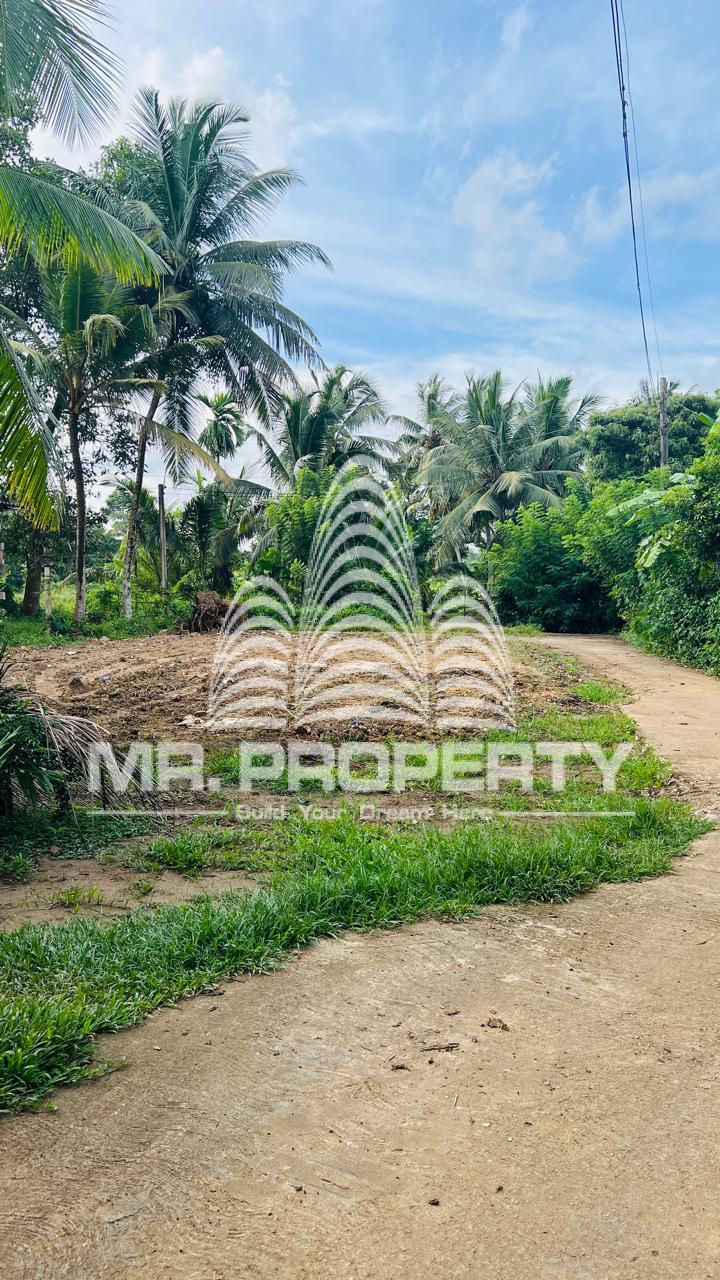 LAND FOR SALE GAMPAHA KINAGAHWELA