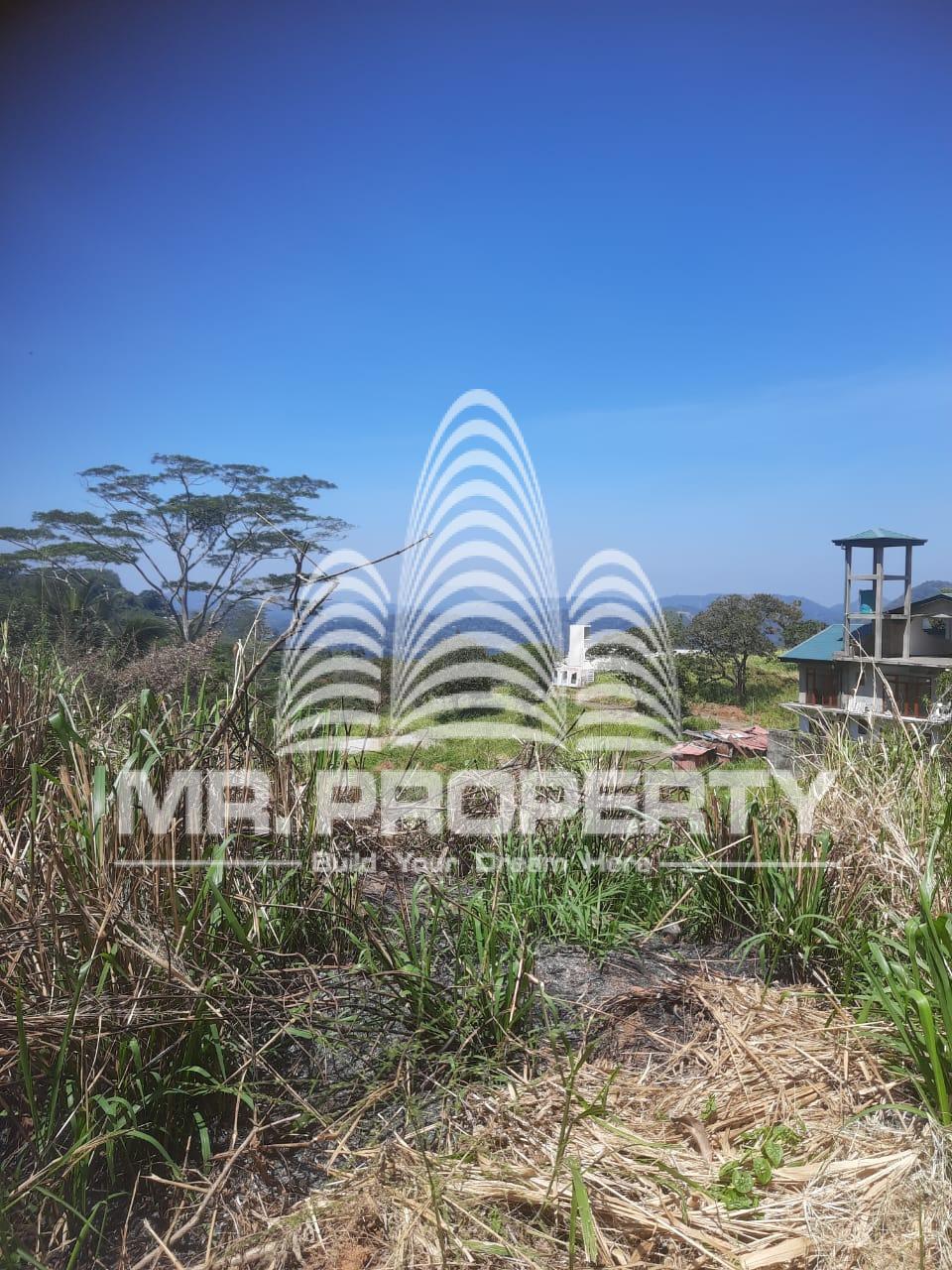 Land for sale kandy hirassagala