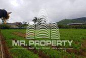 LAND FOR SALE NUWARAELIYA
