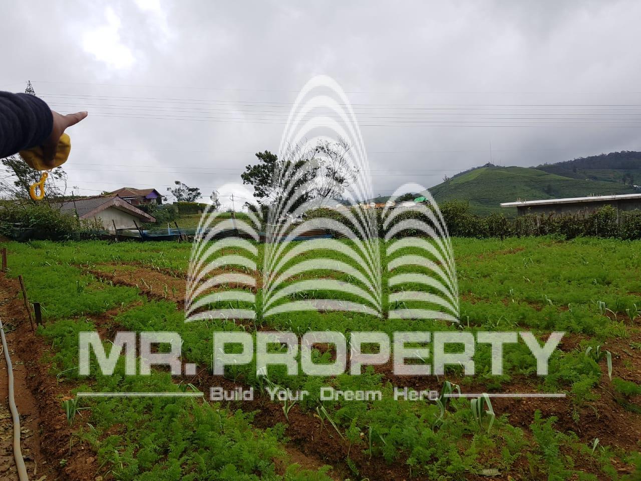 LAND FOR SALE NUWARAELIYA