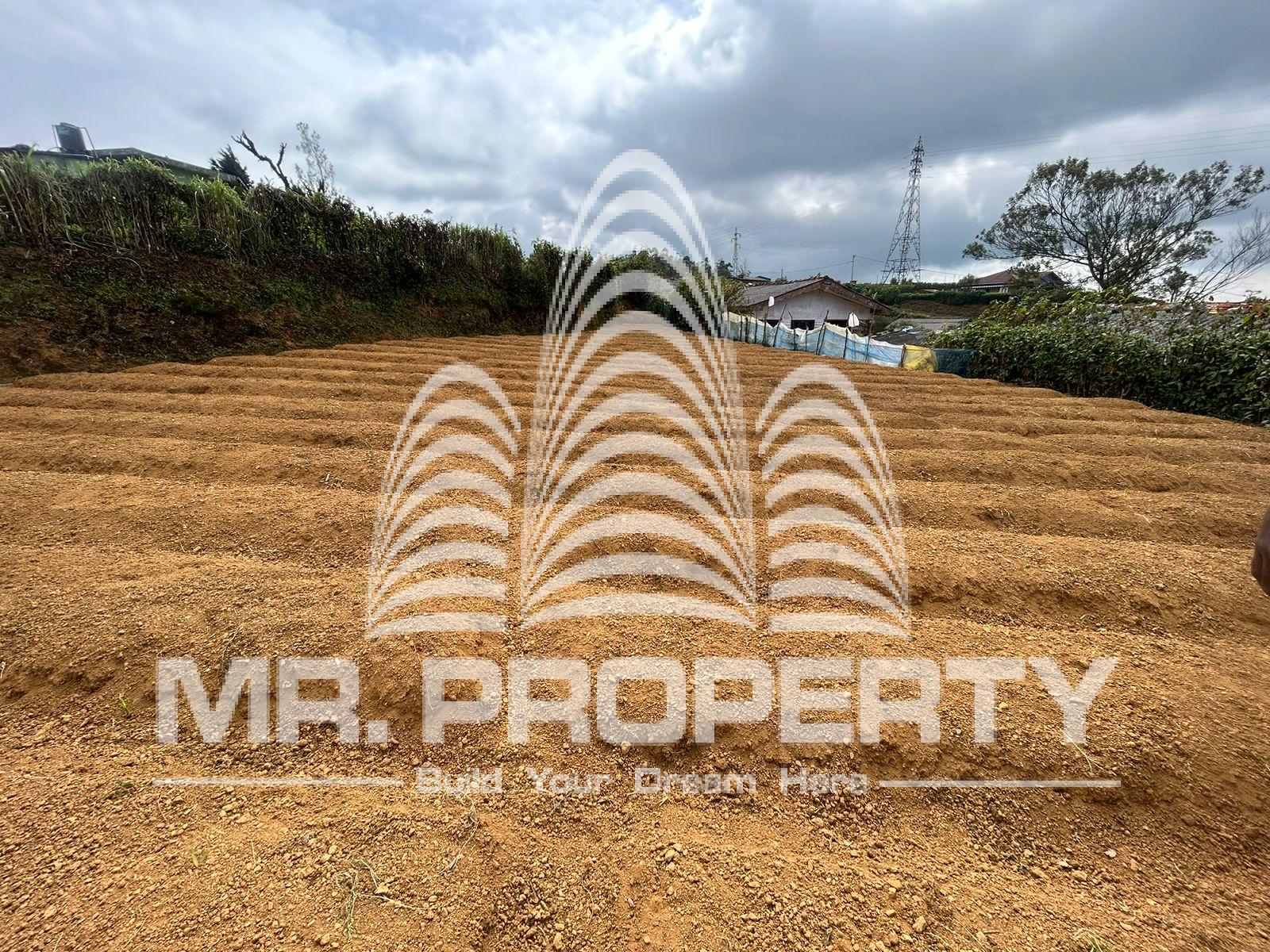 LAND FOR SALE NUWARAELIYA