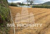 LAND FOR SALE NUWARAELIYA