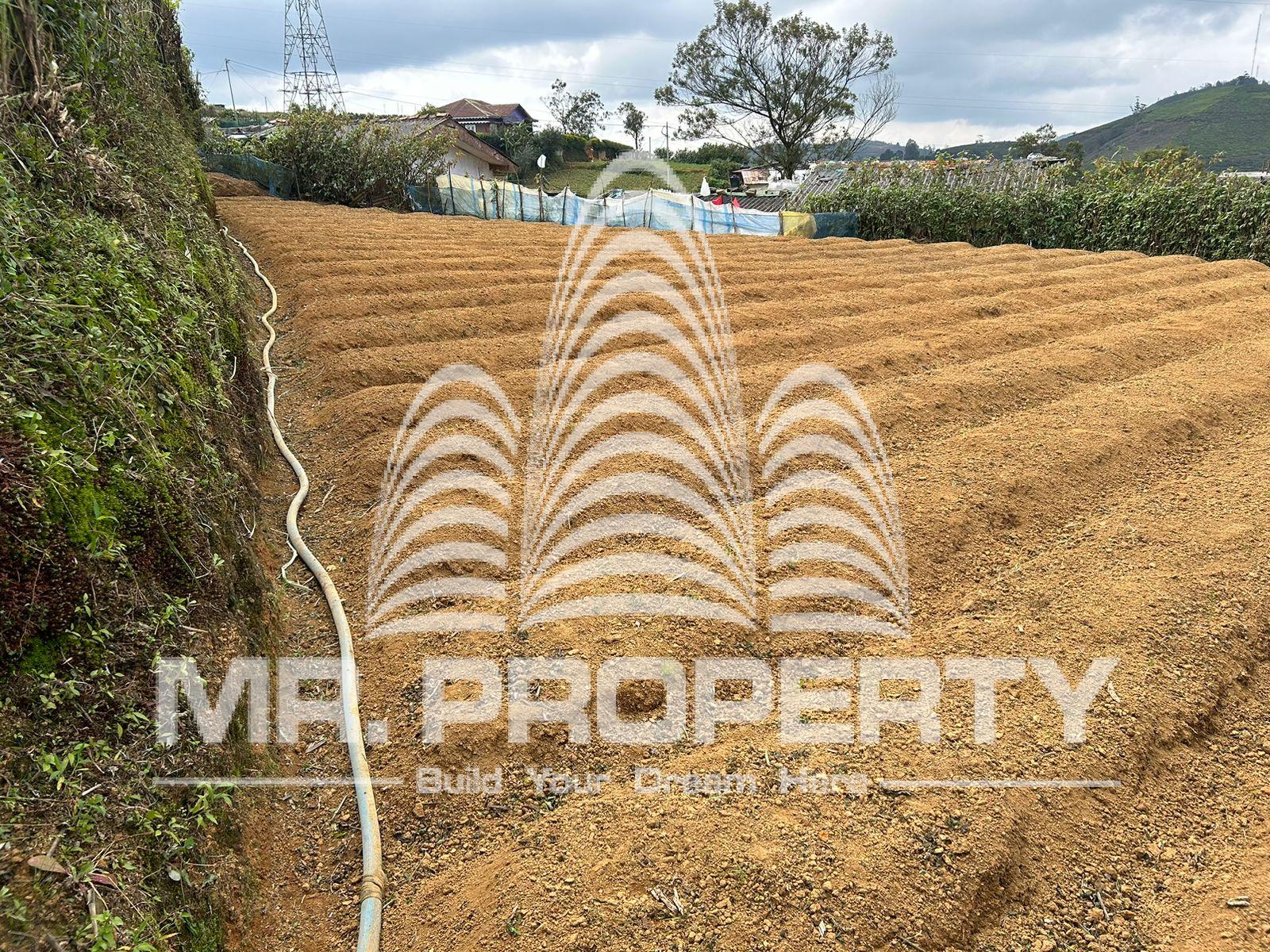 LAND FOR SALE NUWARAELIYA